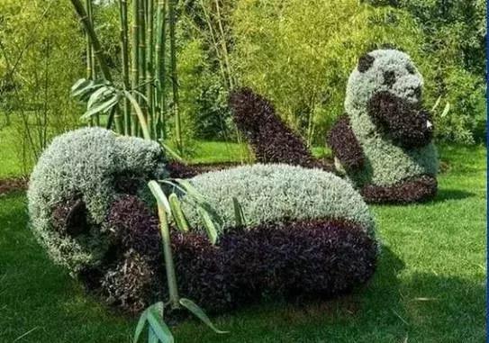 11月4,有群的都看看,太美了,这一辈子见一次值了!