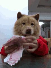 小孩子的压岁钱可以乱用吗,小孩压岁钱该不该小孩自己花