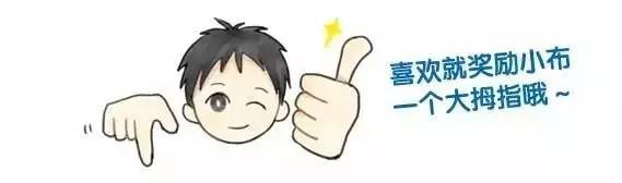 上海迪士尼设施排行榜,探店迪士尼