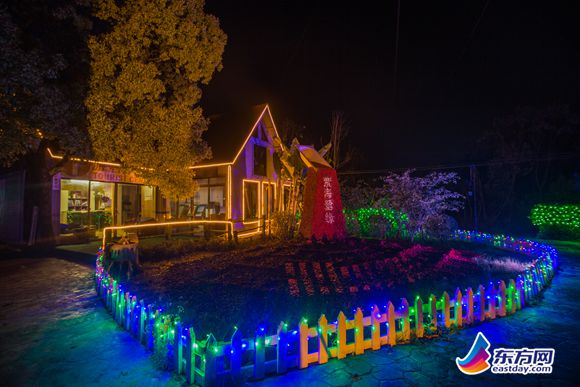 上海崇明岛薰衣草几月开,崇明薰衣草节旅游攻略