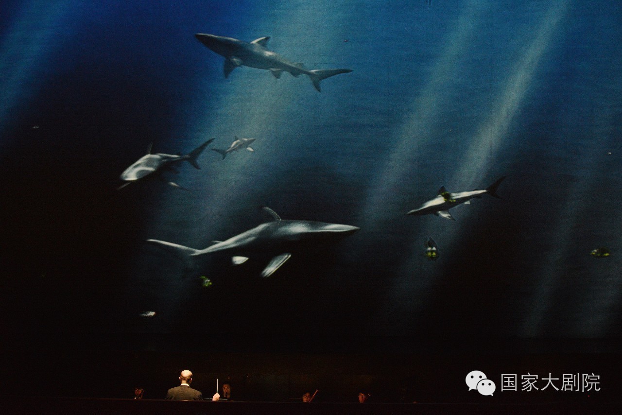 揭秘|3D“小美人鱼”背后藏奇招儿