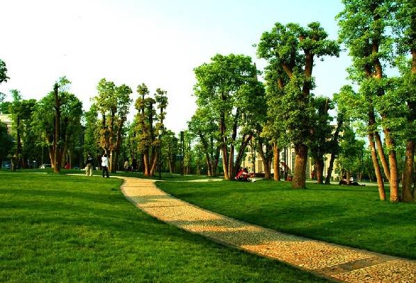 来一趟重庆带什么好,如果有朋友来重庆你会带他去哪