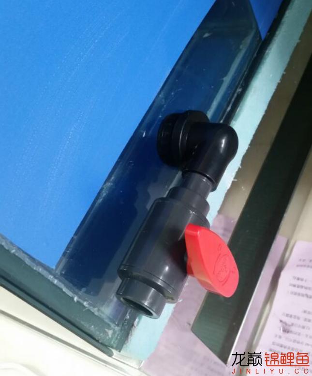 粘锦鲤地缸教程,鱼友锦鲤地缸