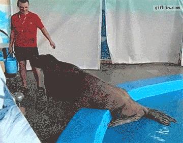 屁是最好的爱情润滑剂