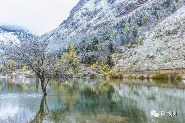 512汶川地震十二年铭记历史,缅怀汶川512地震