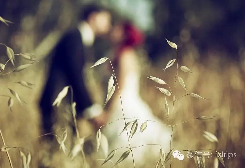 单身汪不哭，这里有属于你们的夜晚