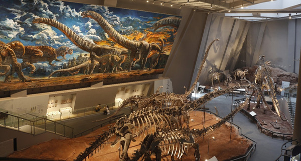 2022春天重庆周边亲子游玩的地方 (重庆周边亲子游2-3天冬季)