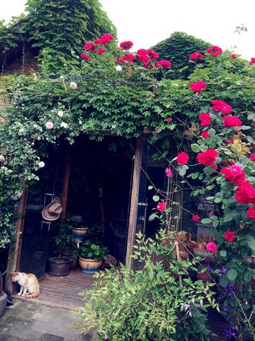 鍒瀹跺涵鑱氶杞拌洞,瀹跺涵鍒杞拌洞鑱氫細