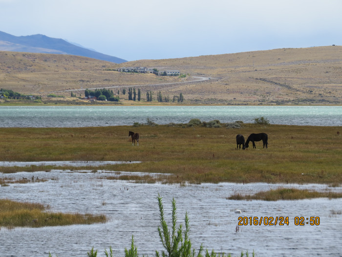 去巴西阿根廷秘鲁智利四国游,巴西阿根廷智利秘鲁地图