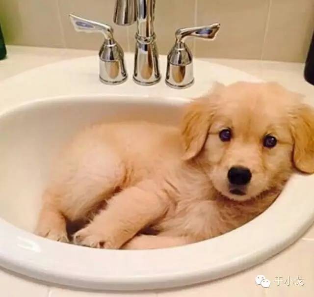 轻易离开你的朋友不值得深交,别怕一定会有不舍得丢下你的人