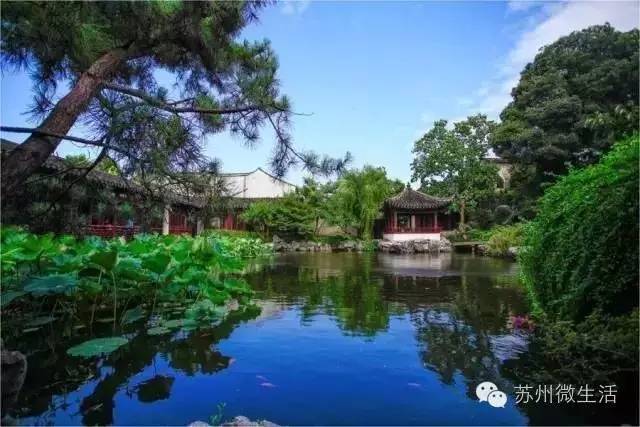 统统都免费！苏州免费福利最强整理，又公布了很多你不知道的