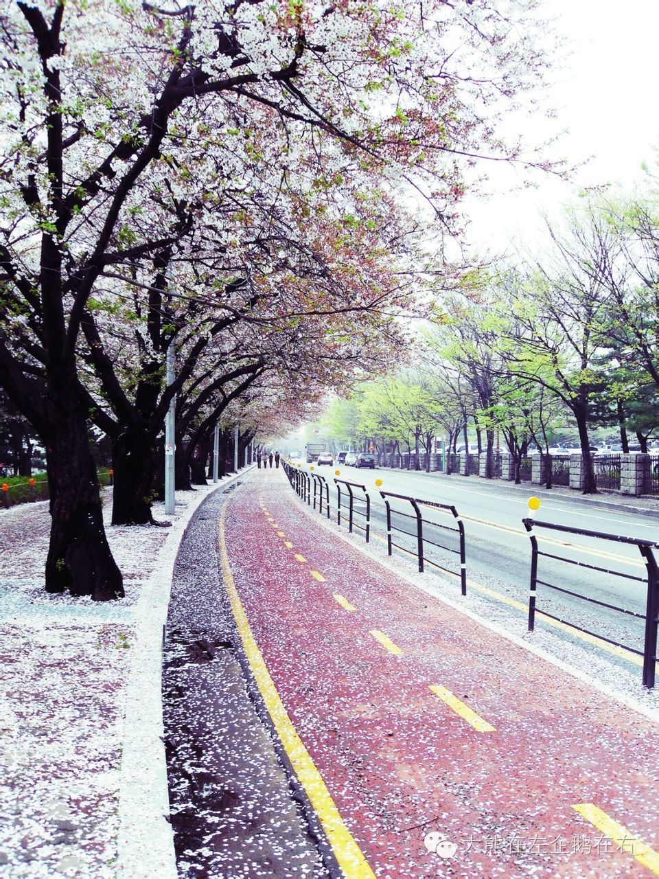 作为宋太太，去韩国自由行之前要了解的21件事「上篇」