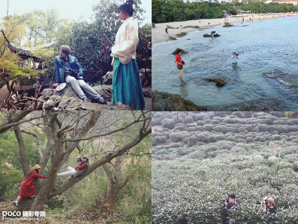 采访疯子,采访疯子的视频