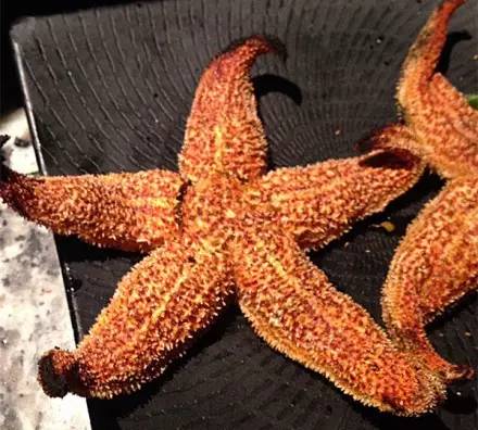 欧冠决赛看球吧,欧冠决赛看球酒吧上海