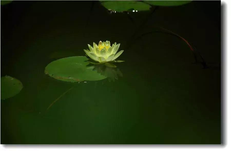 戒色心得：关于长期戒色后“突然失败”的研究……