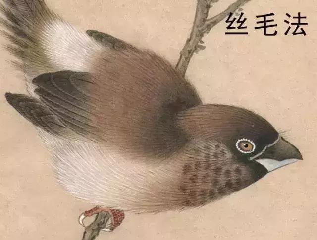 以写实造型为主的现代工笔人物画,工笔花鸟画写实精神的影响