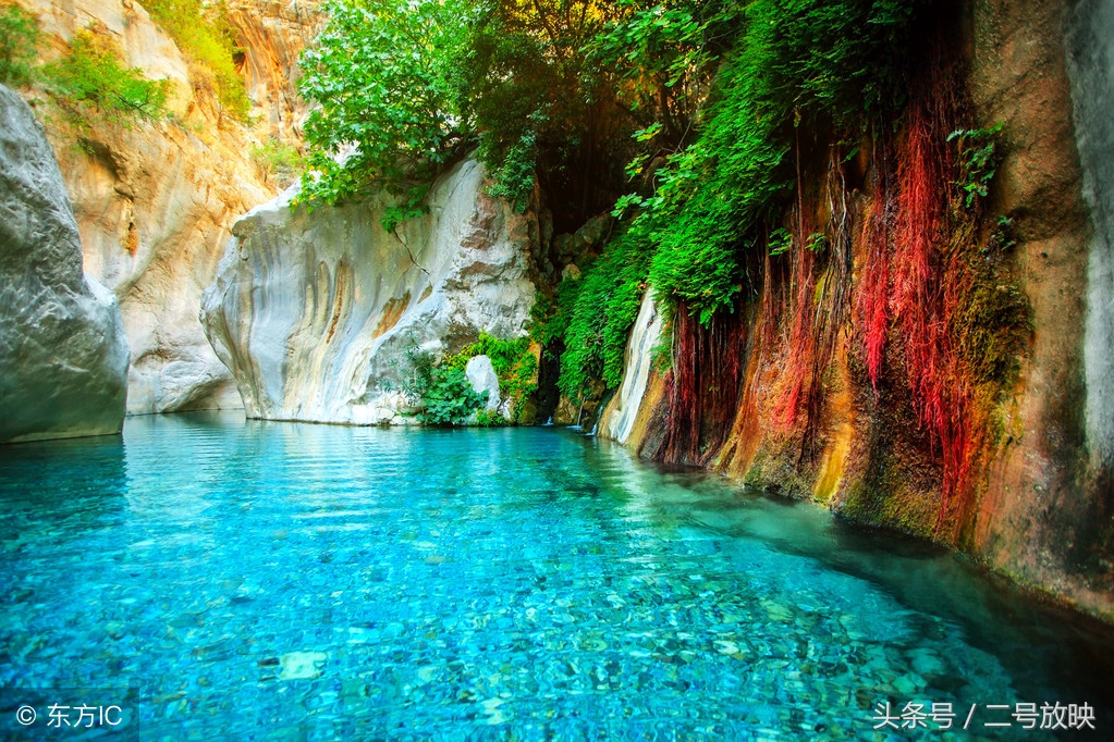 婆婆不带娃儿我怎么处理,婆婆一点都不会带孩子怎么办