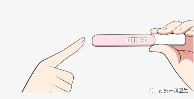 确认早孕为什么要停二甲双胍,多久可以做b超确定是否早孕