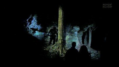 加拿大奇幻森林,加拿大魔法森林风景