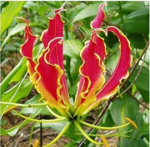 经量少多怎么办,经量太少该吃什么调理