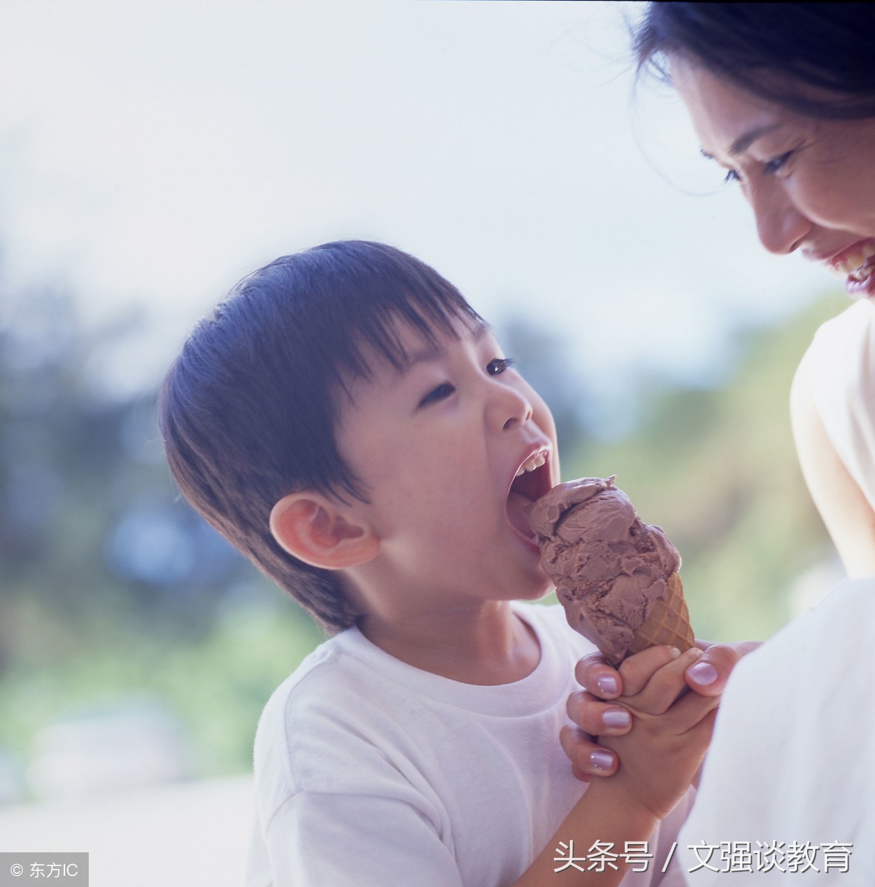 2021中考语文文学常识,中考语文文学常识100题汇总附答案