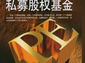 私募股权投资的起源及发展历程,私募股权投资与商业模式