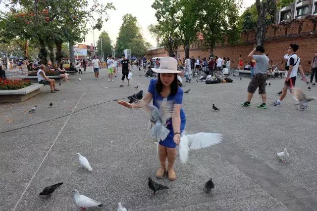 泰国山竹季节,泰国季节分为几季