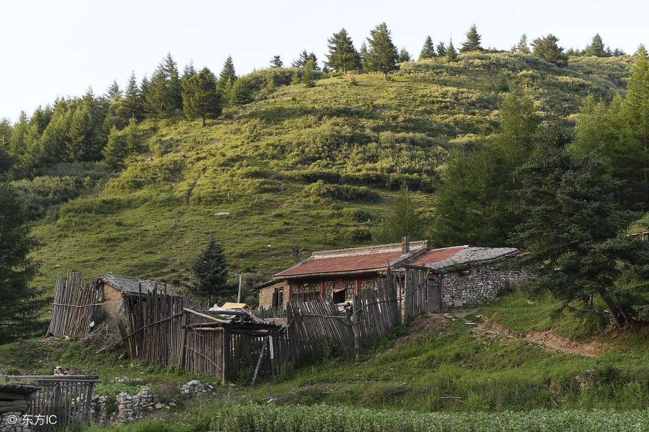 大学生误入传销组织被害真实案例,大学生误入传销组织与嫌疑人搏斗