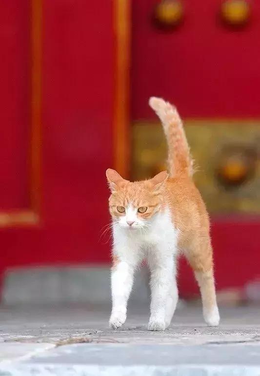 鏁呭18鍙尗,鏁呭鍚哥尗181鍙尗