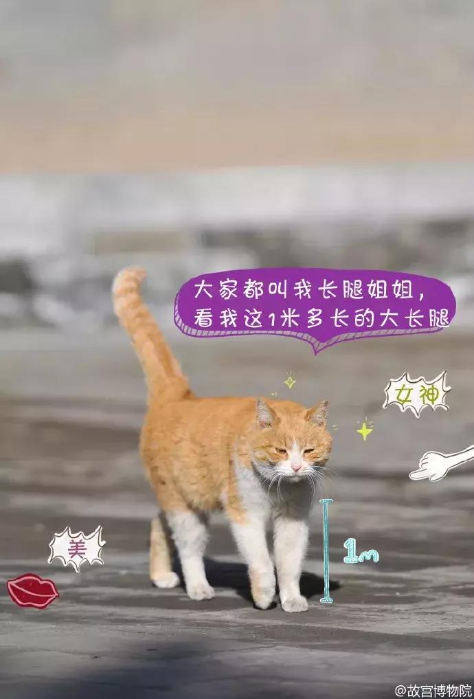 鏁呭18鍙尗,鏁呭鍚哥尗181鍙尗