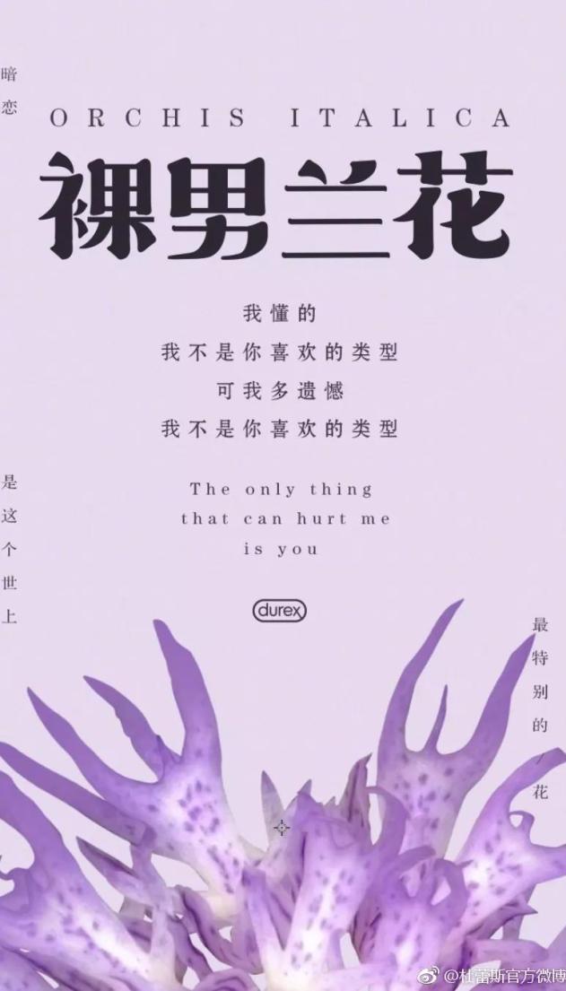 鏉滆暰鏂コ绁炶妭瑙嗛,涓冨鎯呬汉鑺傛潨钑炬柉