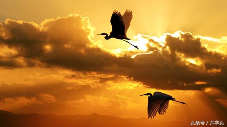 道|庄子逍遥游，附注解，《易》以道阴阳