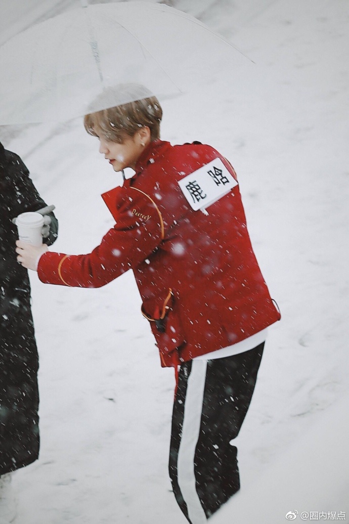 鹿晗维也纳晒照雪中,鹿晗雪中撑伞漫步完整版