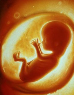 孕期羊水干货知识大全,孕妈妈产检资料收纳册