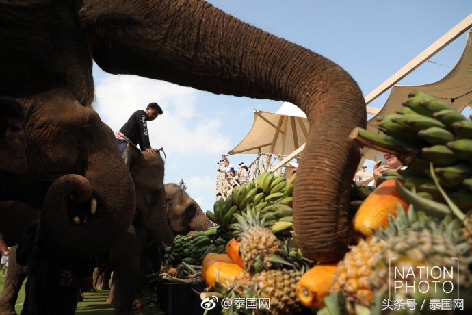 第4届泰国足球公开赛,泰国国王杯佛牌比赛