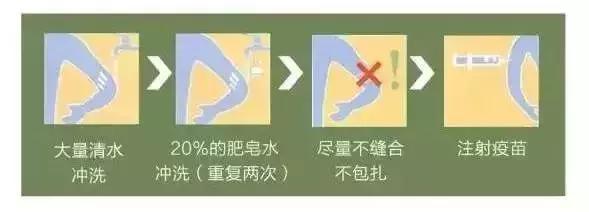被狗咬了得狂犬病真的会学狗叫吗,网传一男孩狂犬病发作学狗叫真相