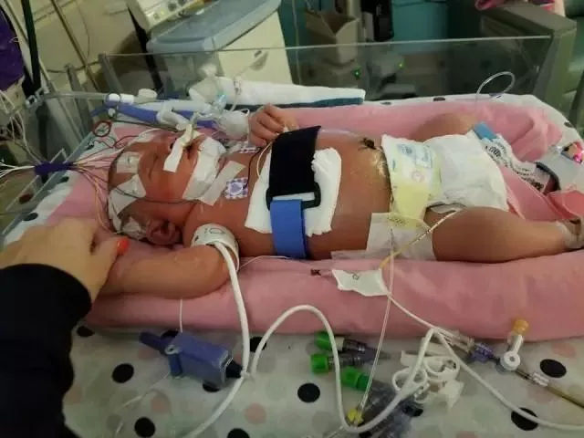 夺命的爱完整版,夺命的爱小说后续