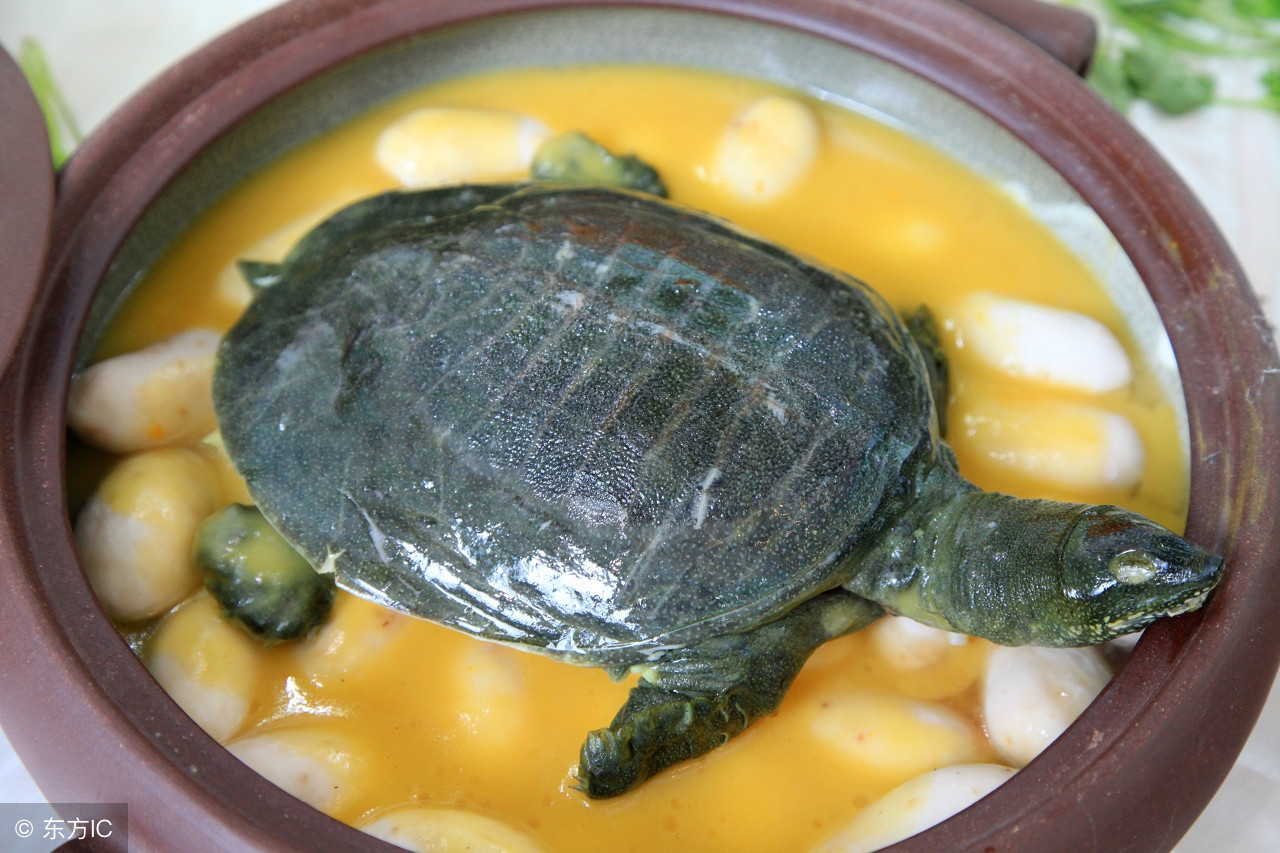 孕妇能吃的海产品有哪些,孕妇能不能吃海鲜干货呢