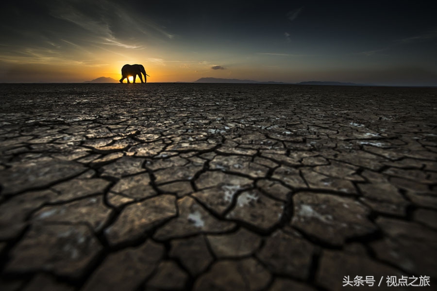 世界20幅人像摄影,52张世界顶级摄影