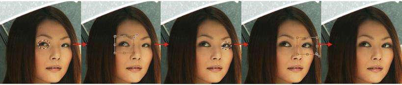 摄影眼睛亮点技巧,摄影后期让模糊照片变清晰