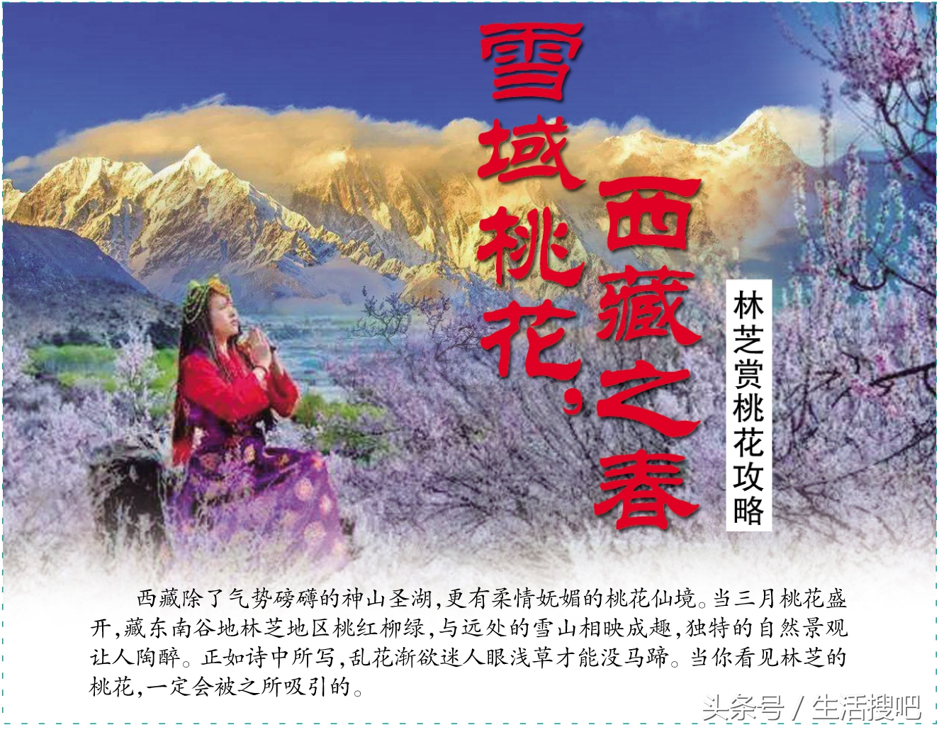 西藏林芝雪域桃花季,中国最美的春天西藏林芝桃花季