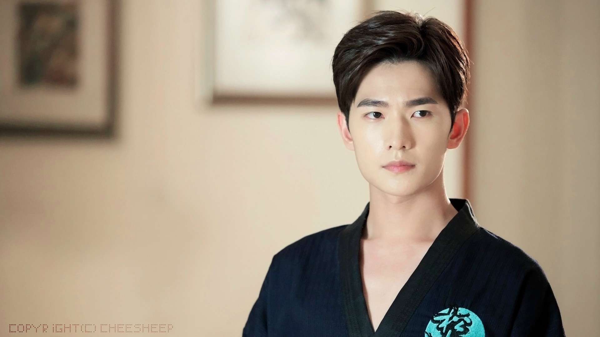 赞美杨洋的文字简短,夸杨洋的唯美文字