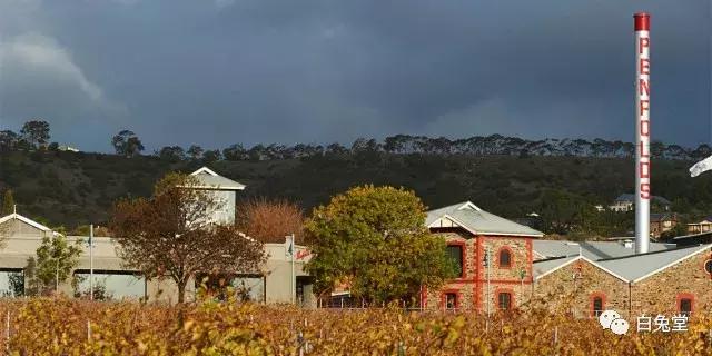 「白兔堂」可能只有不到10%的游客在澳洲玩到了这些！你玩对了吗？