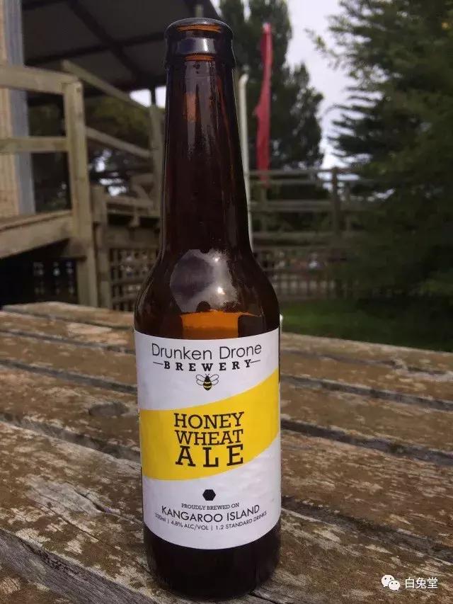 「白兔堂」可能只有不到10%的游客在澳洲玩到了这些！你玩对了吗？