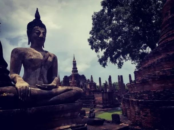 君行体验官专栏丨他在佛之国度，邂逅了一场浪漫