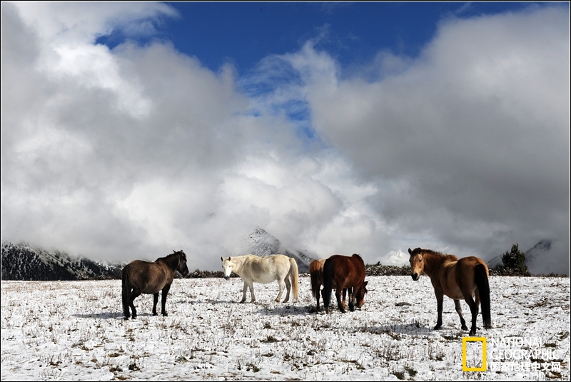 格聂转山攻略详解,四川格聂转山最新攻略