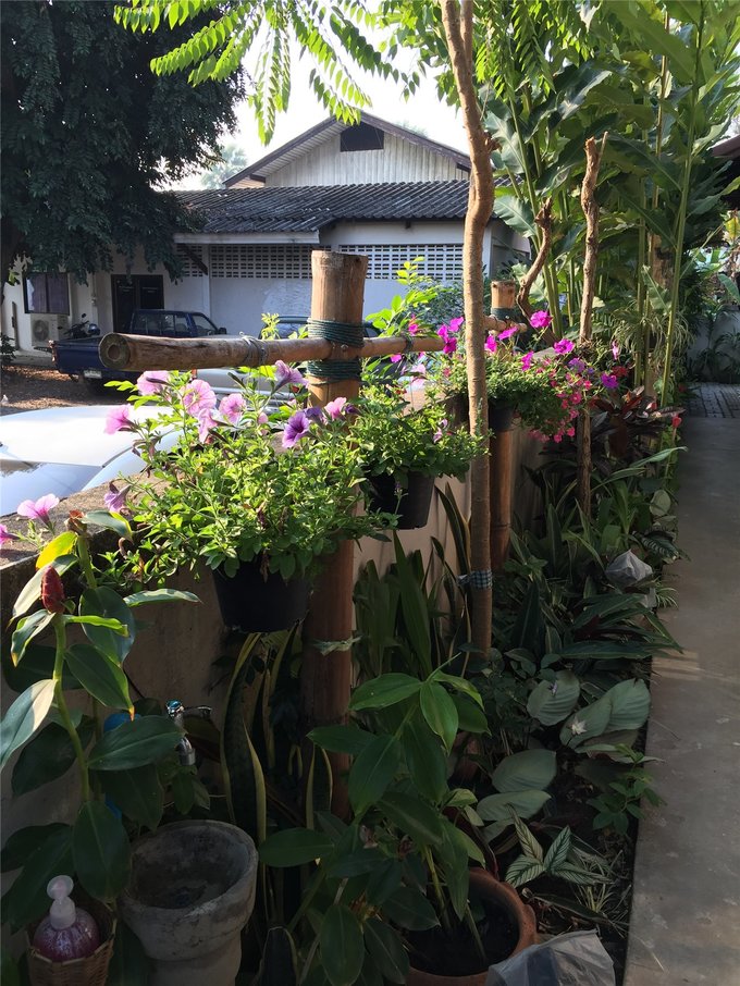 为了忘却的记忆笔记,为了忘却的记忆2013