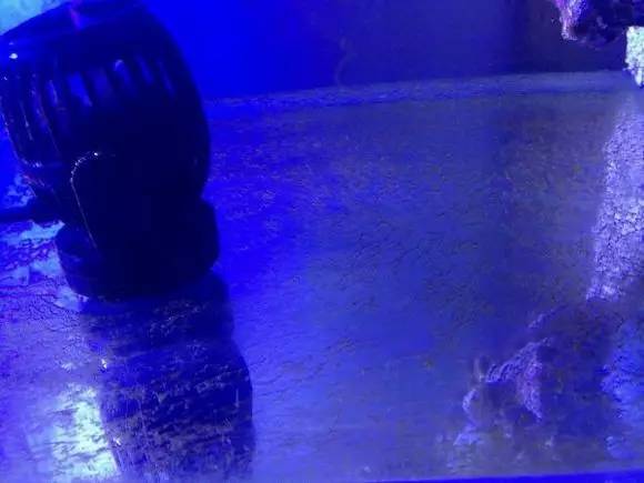 海缸变褐色,海缸变乳白色