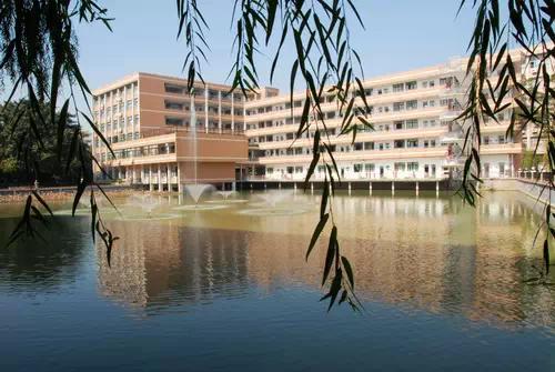 广州寄宿初中学校学费一览表,广州最贵小学学费排行榜