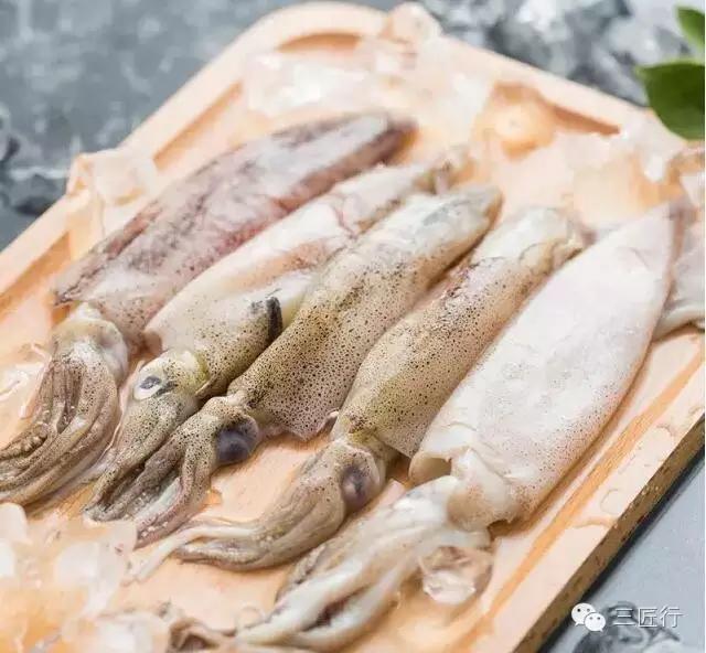 鱿鱼章鱼八爪鱼墨鱼的区别,鱿鱼章鱼乌贼墨鱼哪个好吃